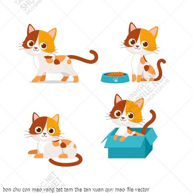bon chu con meo vang tet tam the tan xuan quy mao file vector